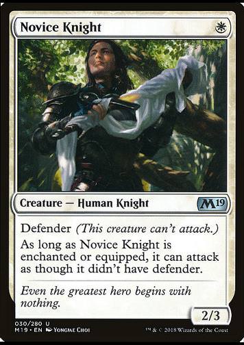 Novice Knight (Ritternovize)